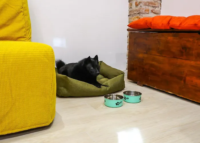 Trastevere Liliana House For 3, Pet & Family * Rome